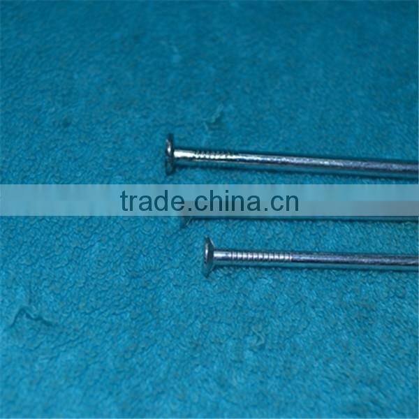 High Standard Galvanized Concrete Nail