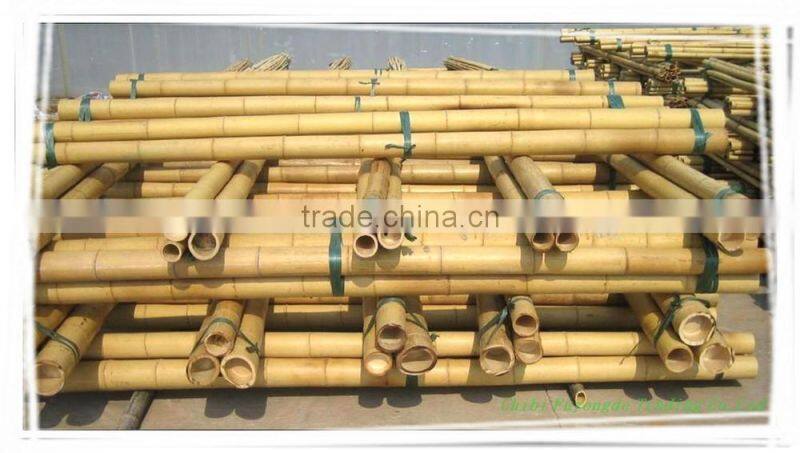 Wholesale natural straight bamboo poles