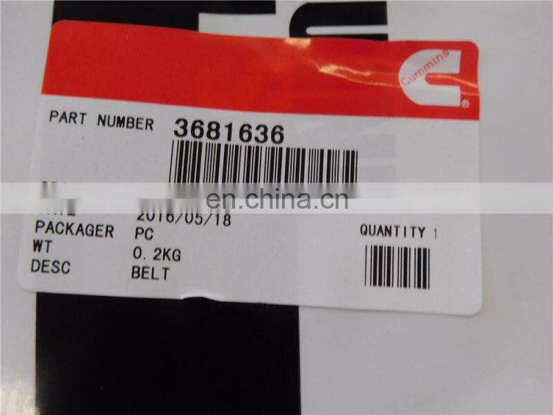 3681636 belt