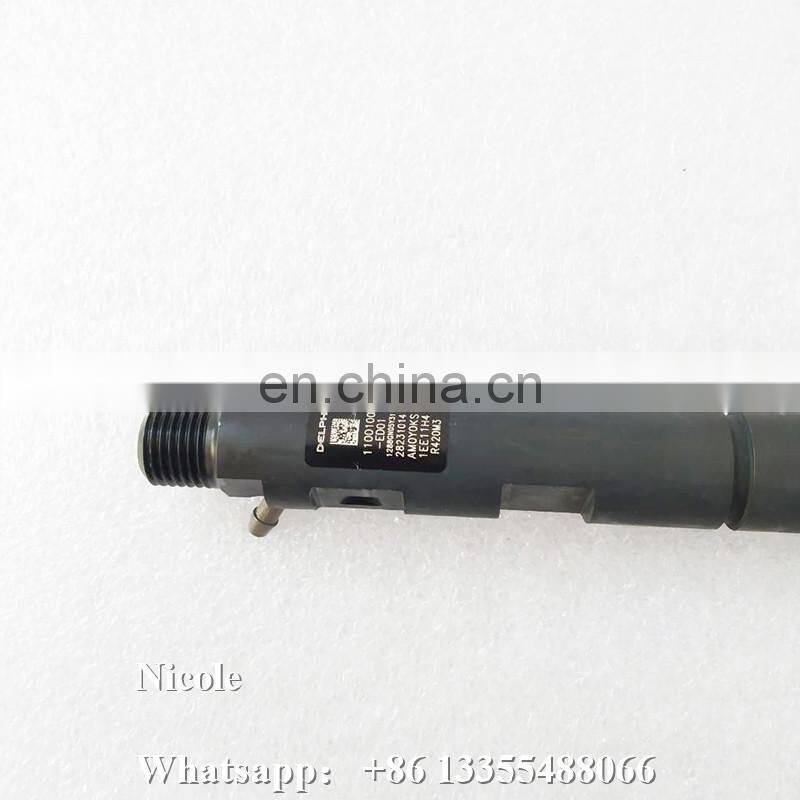 Common Rail Fuel Injector 28231014 (EMBR00101D) 1100100ED01 For FIAT, FORD FOCUS ,Great Wall Hover H6