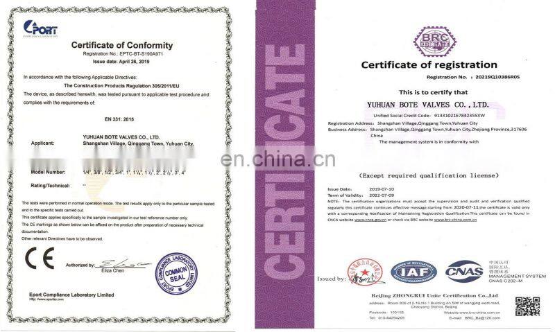 BT4009 high pressure gate valve