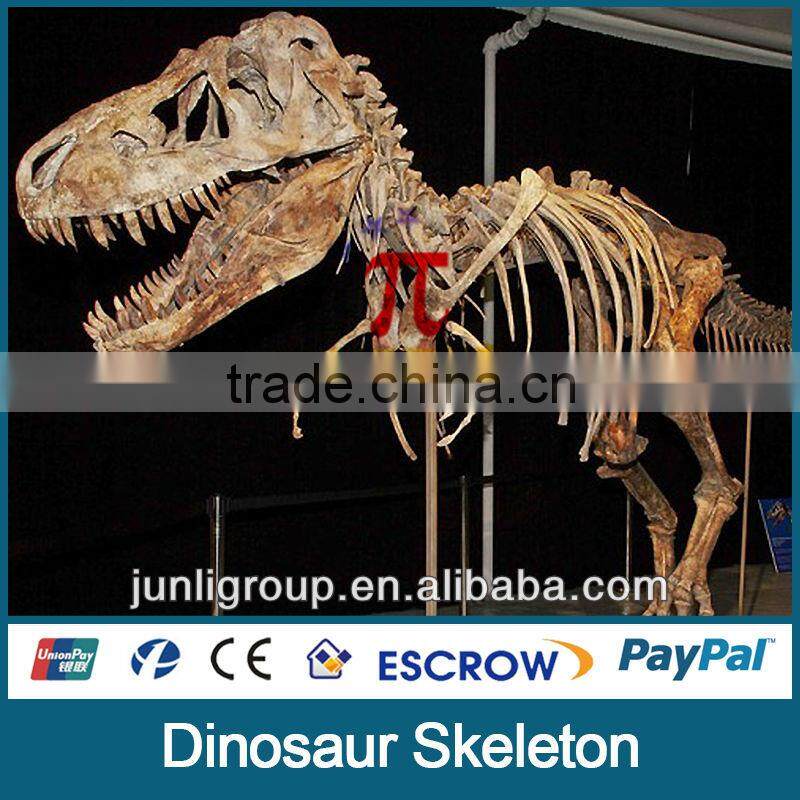JLDF-G-0036 Life Size Realstic Dinosaur Skeleton Model