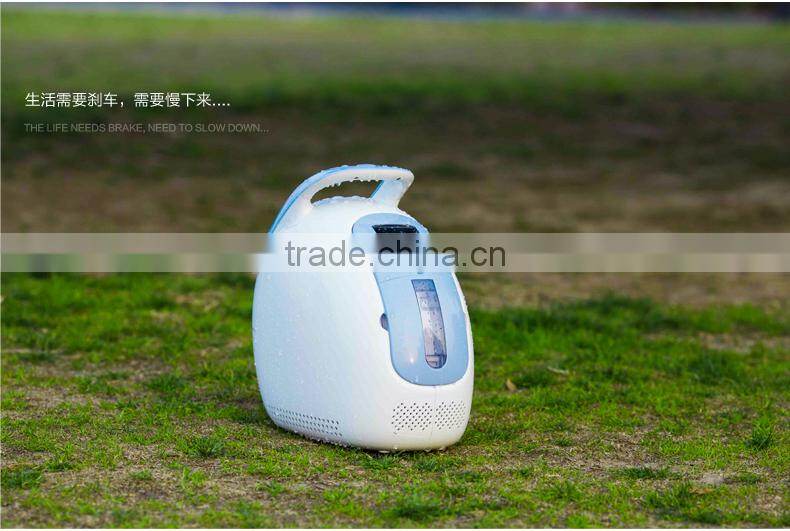 household portable oxygen concentrator medical use psa theory
