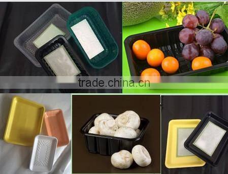 China Manufacturer Plastic Vacuum Forming Fresh Meat Fruit Disposable Plastic Food Container