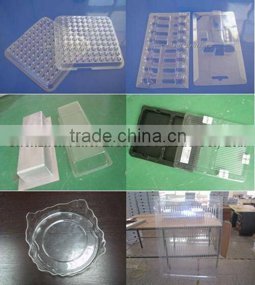clear PET plastic fruit tray,blister packing box for fruit
