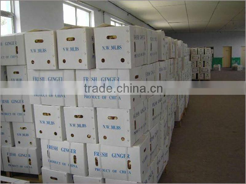 2016 New Fresh Ginger For Sale