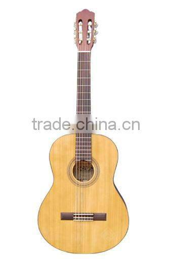 Acoustic Guitar