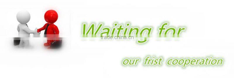 Pumpkin Kernel snow white shine skin GWS , new crop 2015 high quality