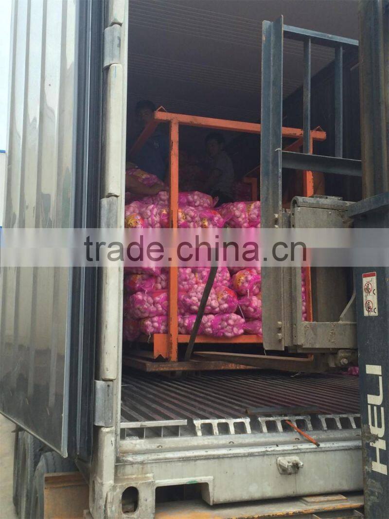 garlic exporter