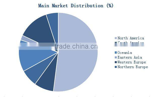 2015 Good quality custom blank snapback cap with leather brim