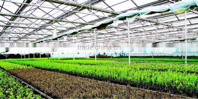 Agricultural Greenhouse Mobile Bench