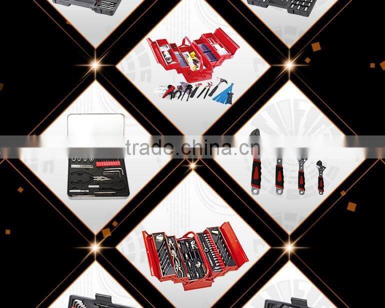 Professional Ease to carry blue measure Level