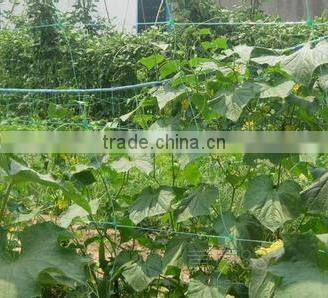 hot selling BOP net(high quality and best price,good aftersales and delivery time)