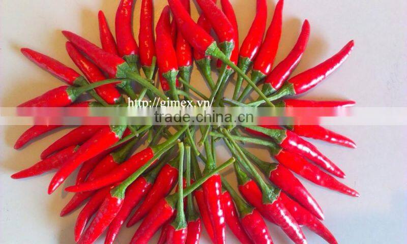 VIETNAM HOT PEPPER CHILLI +84963818434 whatsapp