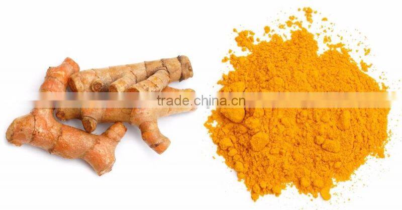 Dried Turmeric Exporters/Turmeric Curcumin