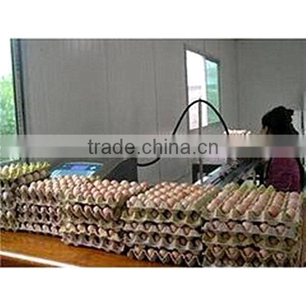 Best selling Eggs Inkjet Code Printers/egg coding printer/inkjet printers for egg