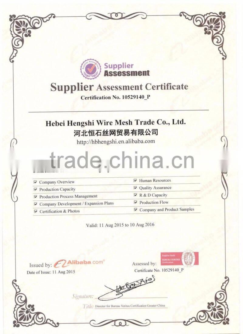 Square Wire Mesh,Galvanized mesh