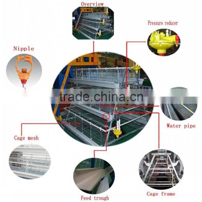 Zhongzhou automatic poultry battery chicken cage for Africa