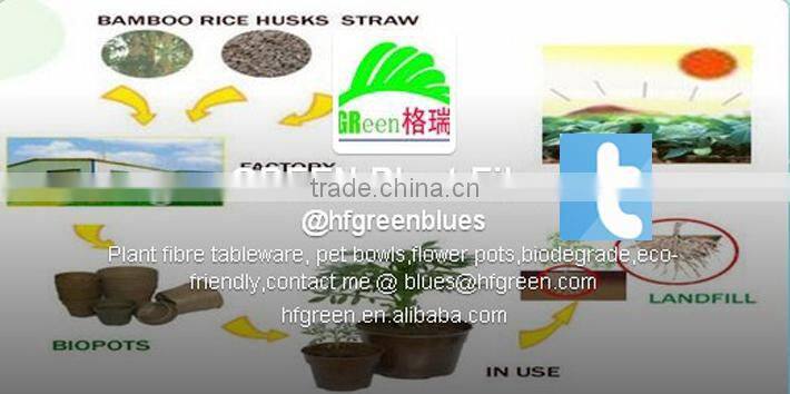 Eco-friendly bamboo fiber feeder for pets