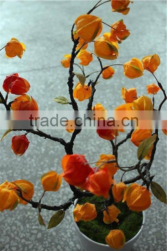 Home decor led lighting lantern grass potted plant