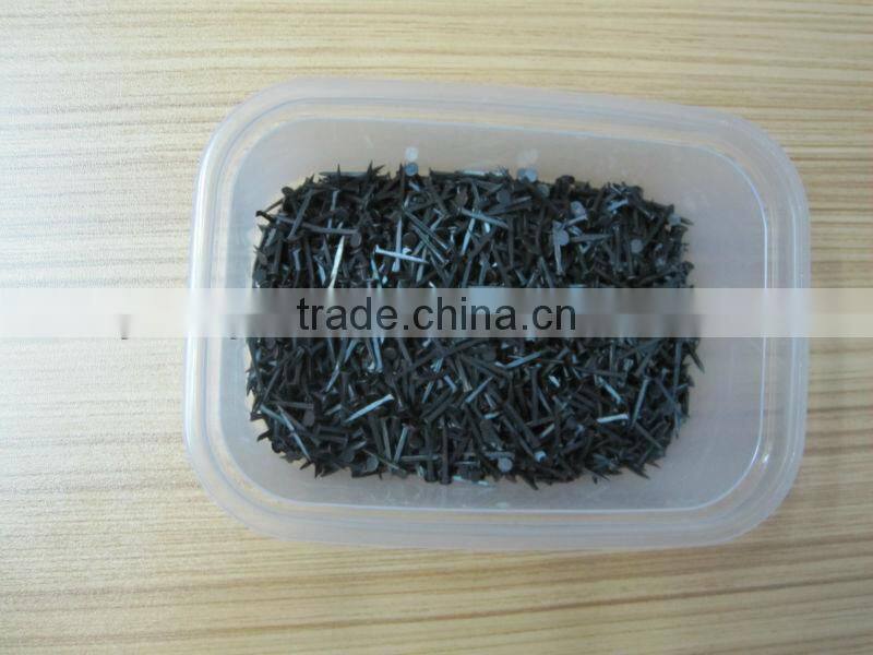 Shoe Tack Nails with Factory Price