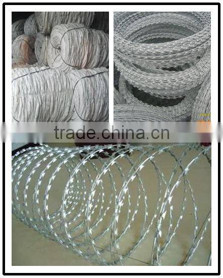 Alibaba .com ! hot selling in Brazil razor barbed wire used in pasture