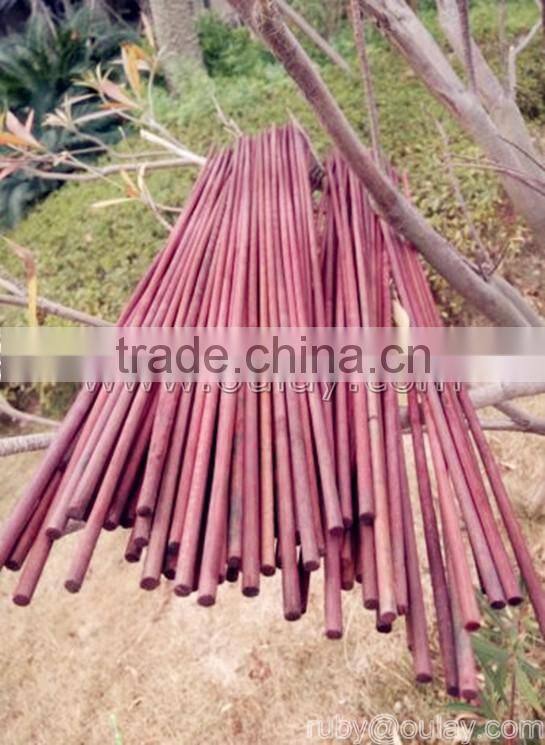Bamboo flower sticks 40cm Dia3mm support plants