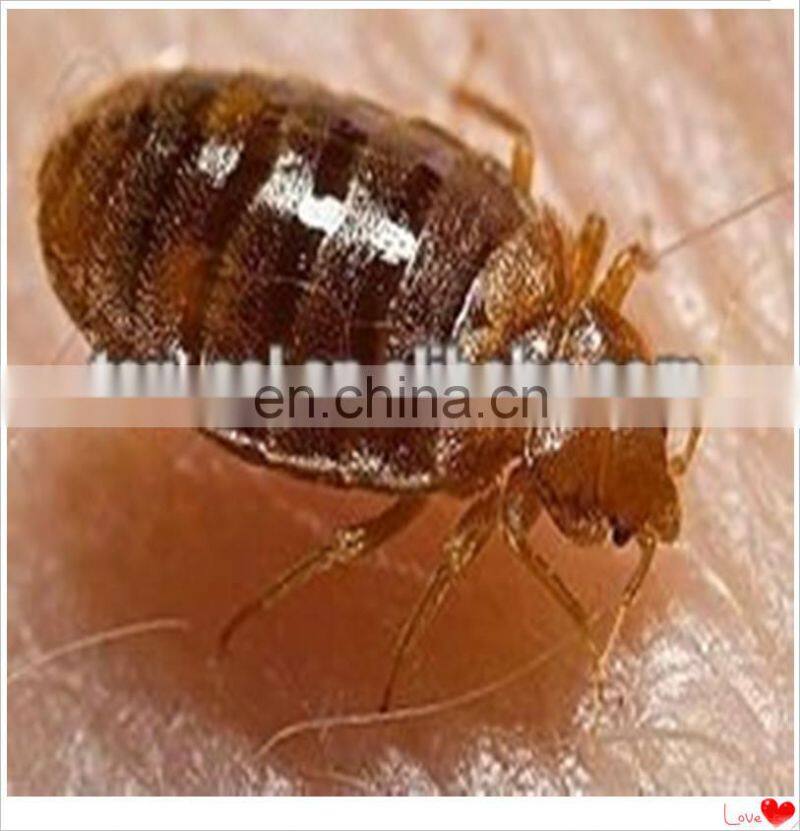 Waterproof Fitted Quilted Crib and Toddler Protective Pad Cover (White) Mattress