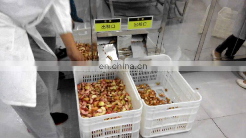 Cherry seed removing and fruit pitting machine, cherry stoning machine