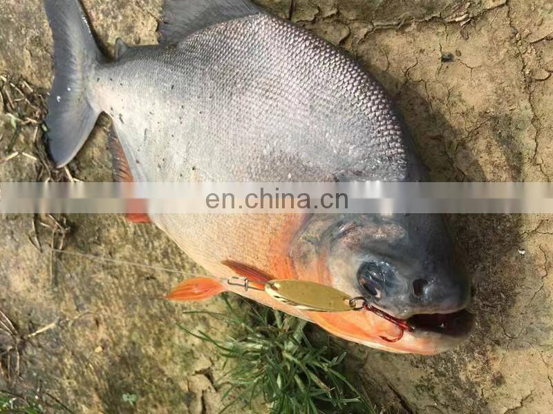 Byloo non painted china fishing lure store  fishing lure