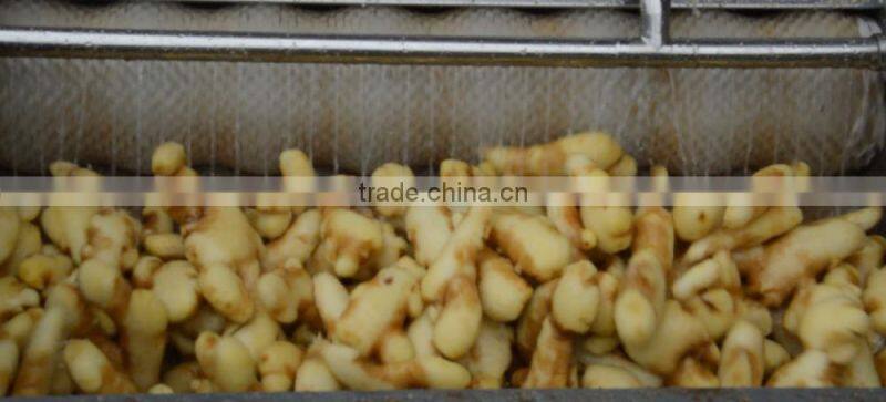 Automatic Professional Potato Processing Machinery/Potato Processing Plant/ Potato Peeler Machine Price