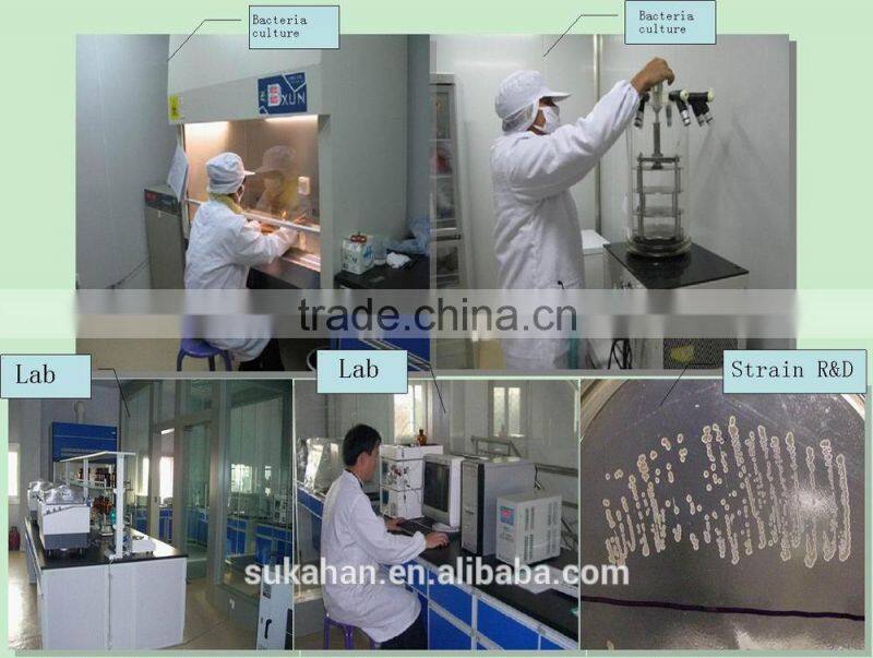 aquatic product to promote algae growth