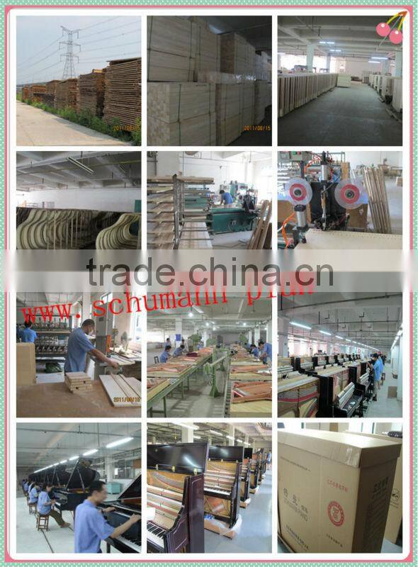 Musicl Keyboard Upright Digital Piano (DA1) 125 Schumann