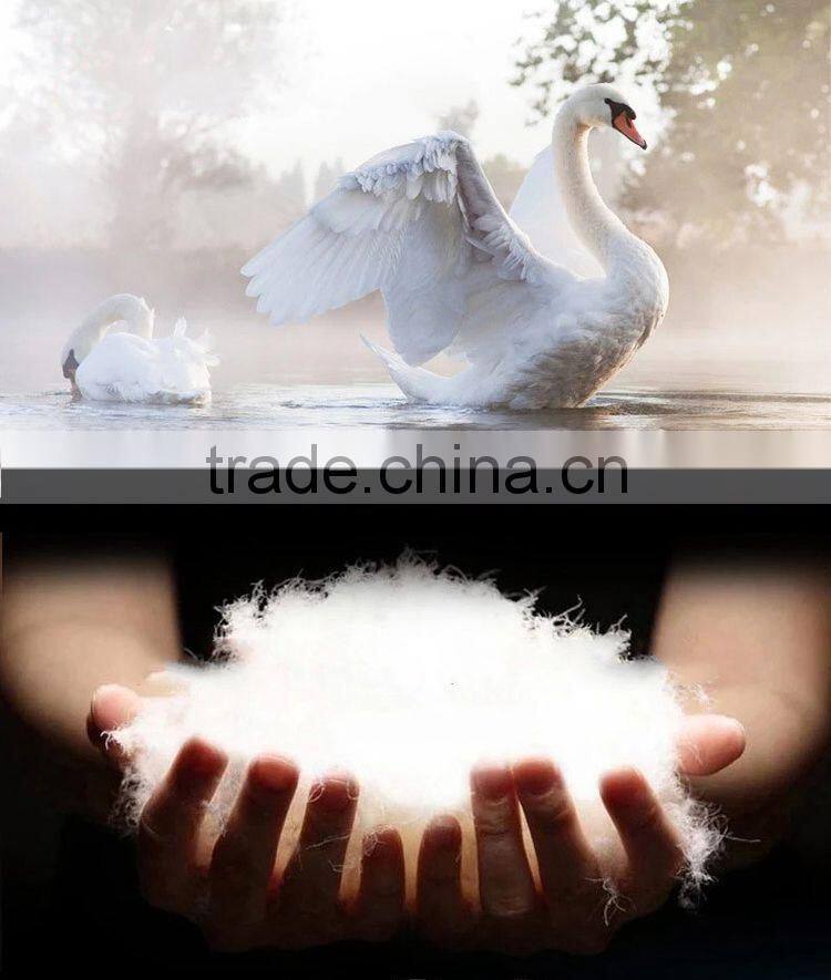 Outdoor backpacking goose down mummy adult winter sleeping bag