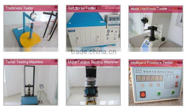 Charms Stainless Steel Multipurpose Pasta Pot