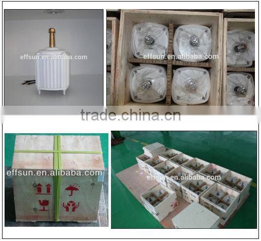 1000w permanent magnet generator