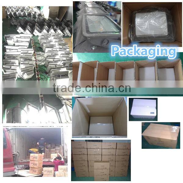 Newest garden Outdoor 10W 30W 50W 100W 150W LED Floodlight
