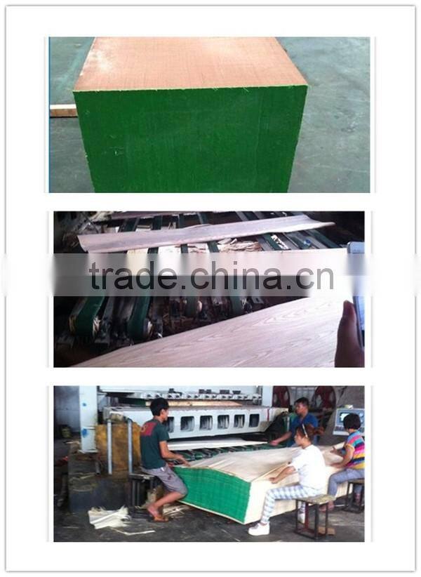 gurjan recon face veneer