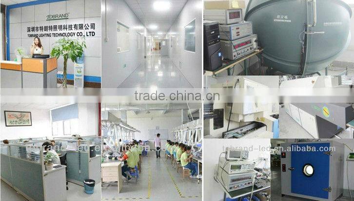 CE SAA approved high voltage led strip light 110V 230V led strip