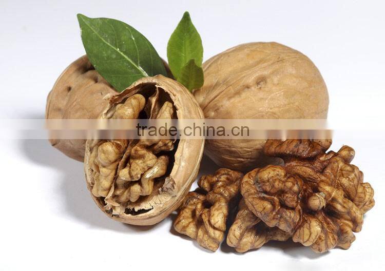 Chinese good quality walnuts prices
