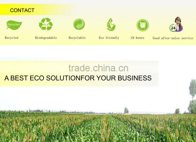 ECOZONE Hot selling 2016 motorized shoe cleaners