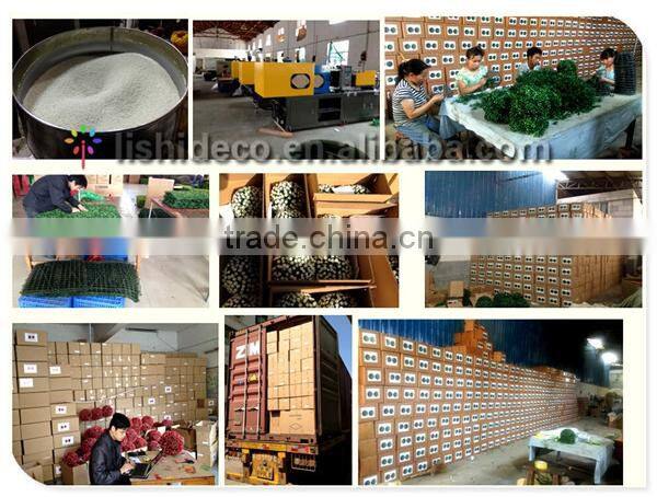 Export Succulent Plants Artificial Succulent Plants Bonsai Succulent Plants