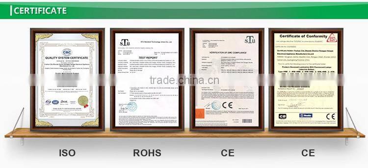 prismatic lighting fixture