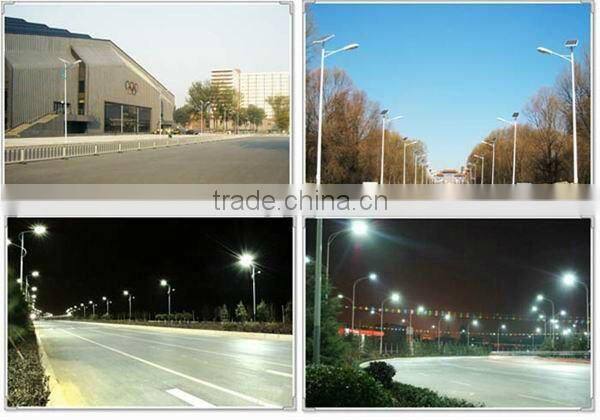 LED light new product car christmas tree 12v led street light