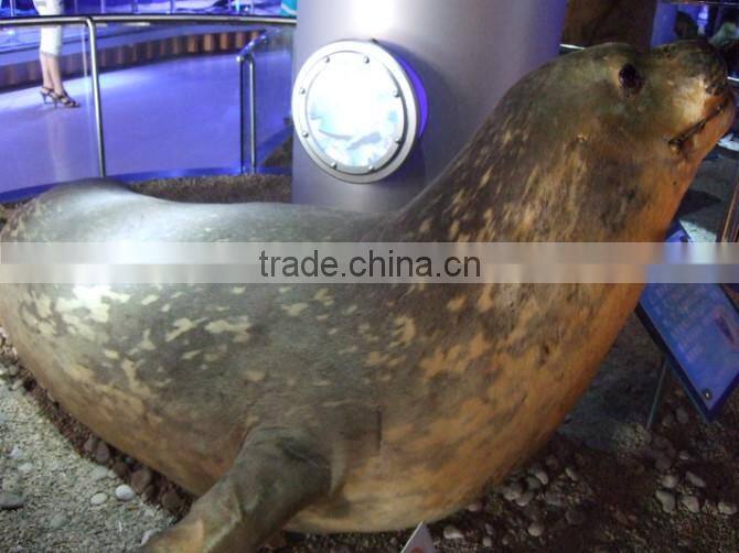 VGDW111-park decoration sea animal turtle