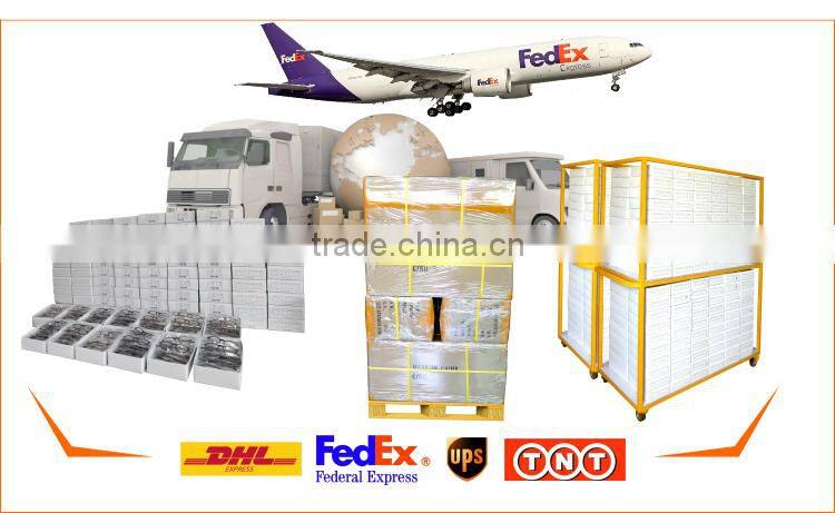 Stainless Steel Acetate Optical Eyewear Frame