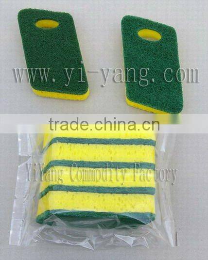 sponge scour