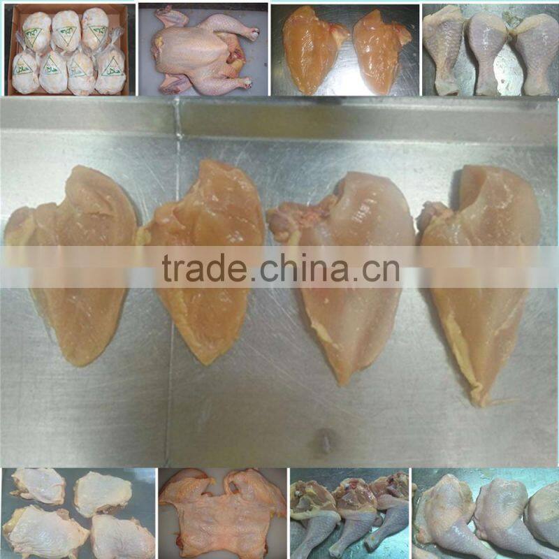 High quality frozen chicken fillet
