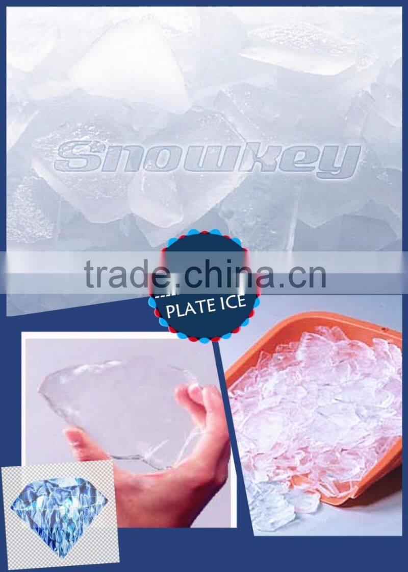 Energy-saving Plate ice machine large size plate ice maker with good appearance for Southeast Asia for Europe