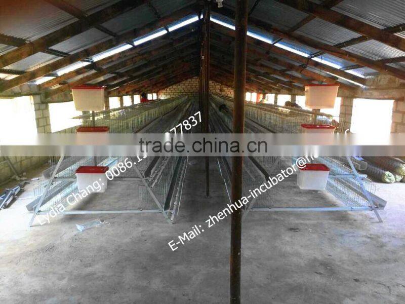 Nigeria chicken farm hot sale layer poultry battery cages (whatsapp : +86 159 6597 7837)